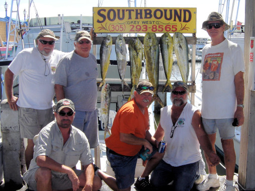 Dolphin caught fishing Key West on charter boat Southbound