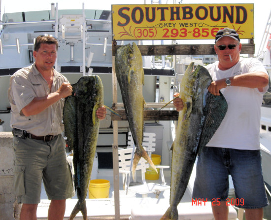 Fish caught fishing Key West on charter boat Southbound
