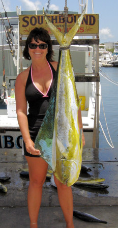 26 1/2 lb Dolphin caught fishing on Charter Boat Southbound in Key West Florida