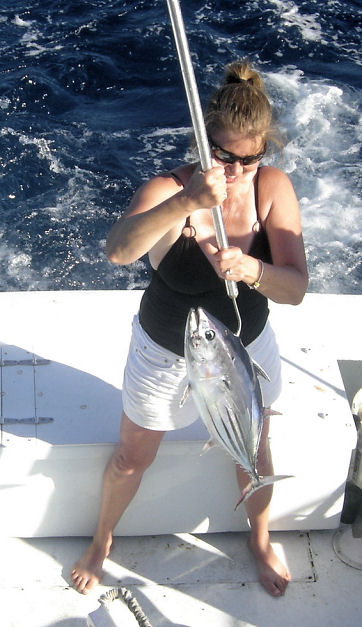 Skiip Jack Tuna caught in Key West Fishing on Key West Charter fishing boat Southbound from Charter Boat Row Key West