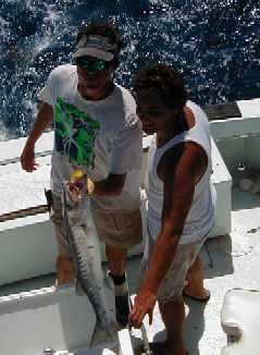 Key West Barracuda