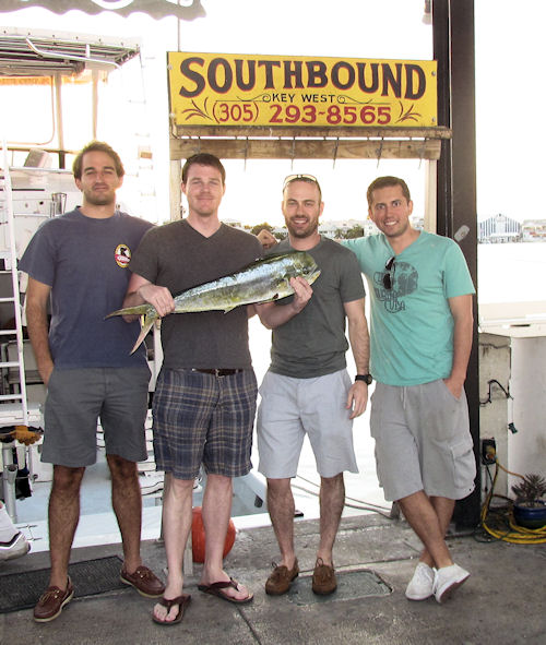 small dolphin caught fishing in Key West on Charter Boat Southbound from Charter Boat Row Key West