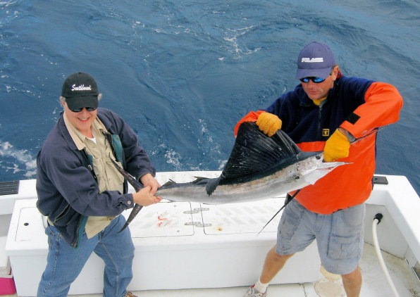Sailfish caught fishing aboard the Charter Boat Southbound in Key West, Florida