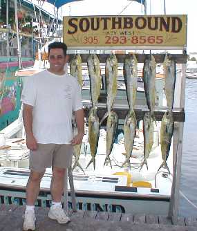 Rack of Dolphin in Key West Florida