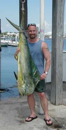 36 lb. Bull Dolphin