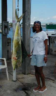 35 lb. cow dolphin n 30 lb. test