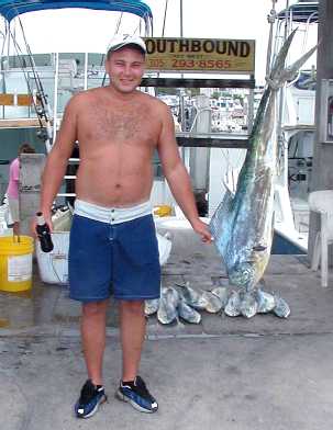 Key West Dolphin