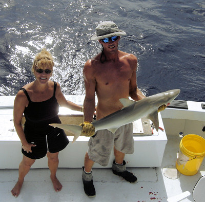 shark caught fishing on charter boat Southbound in Key West, Florida