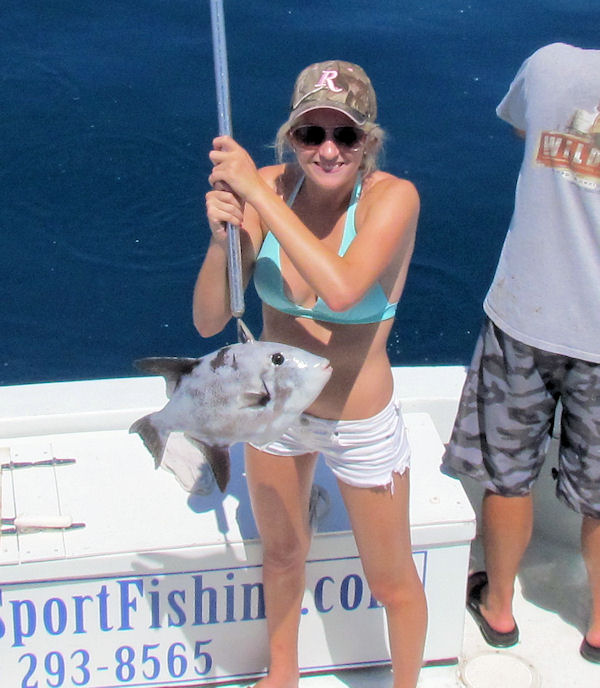 Ocean Tally caught in Key West fishing on charter boat Southbound from Charter Boat Row