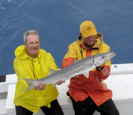 Big Barracuda caught fishing a Key West Charter on Southbound