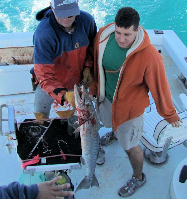 Barracudal caught fishing in Key West on Charter Boat Southbound from Charter Boat Row Key West