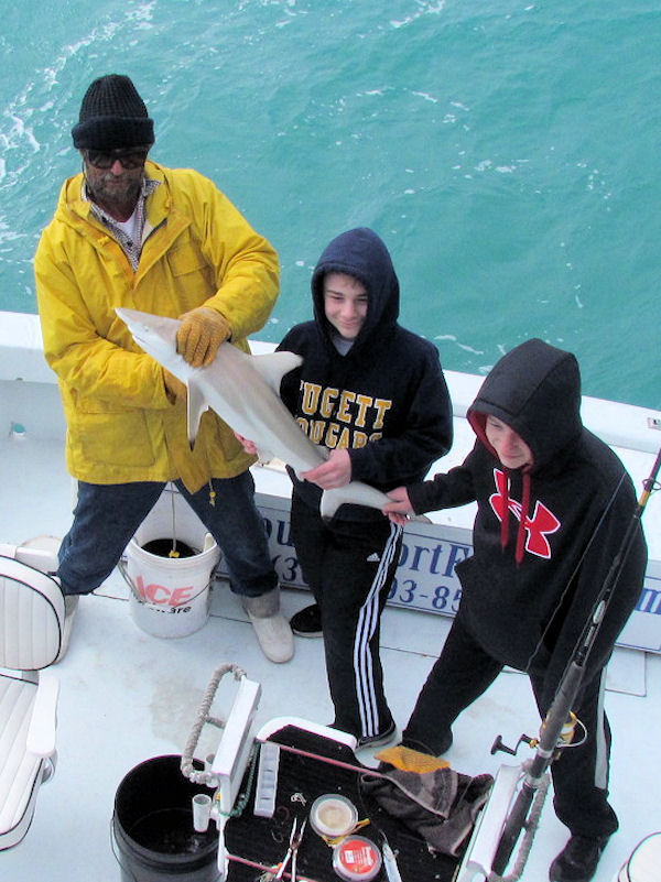 Shark caught and released fishing Key West on charter boat Southbound from Charter Boat Row Key West