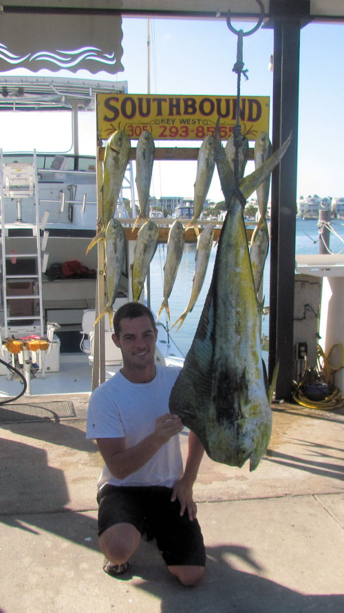 17 lb Dolphin caught fishing in Key West on Charter Boat Southbound from Charter Boat Row Key West