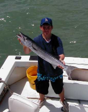 Key West Barracuda