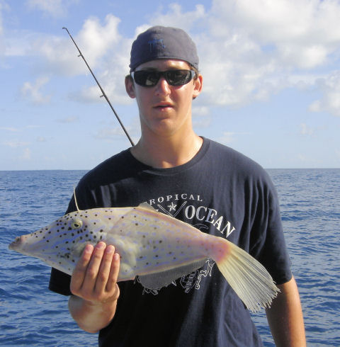 File fish caught and released fishing key west on charter boat Southbound from Charter Boat Row Key West