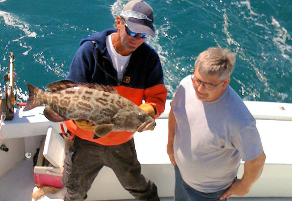 Grouper caught in Key West fishing on charter boat Southbound from Charter Boat Row Key West