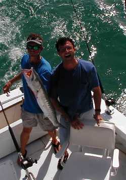 Key West Barracuda