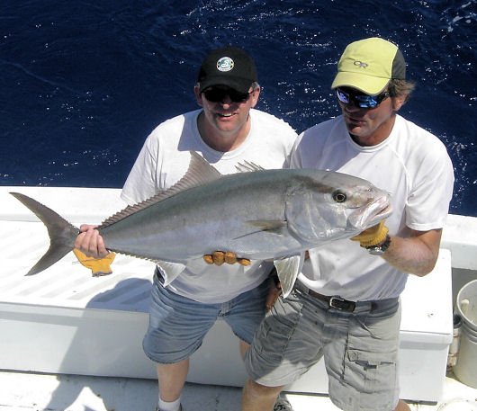 Amberjack caught in Key West fishing on charter boat Southbound from Charter Boat Row Key West