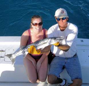 Fish caught aboard the Southbound in Key West, Florida