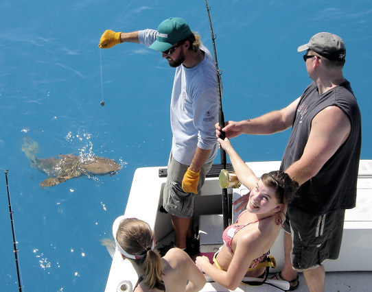 Nurse Shark caught fishing Key West aboard charter boat Southbound