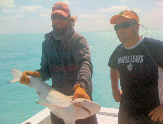 Shark caught fishing Key West on deep sea charter fishing boat Southbound From Charter Boat Row Key West