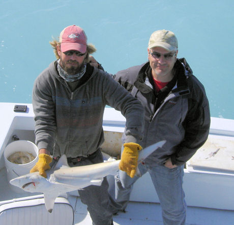 Shark caught fishing Key West on deep sea charter fishing boat Southbound From Charter Boat Row Key West