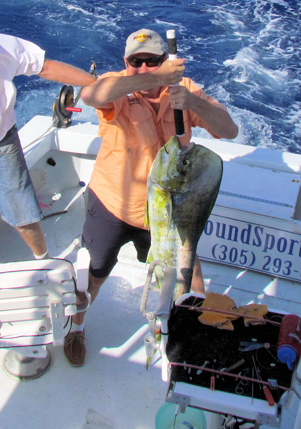 Dolphin caught in Key West fishing on charter boat Southbound from Charter Boat Row, Key West