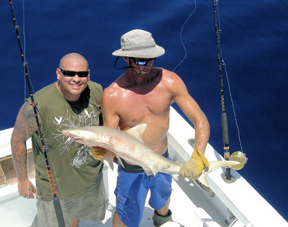 Shark caught fishing on charter boat Southbound in Key West, Florid