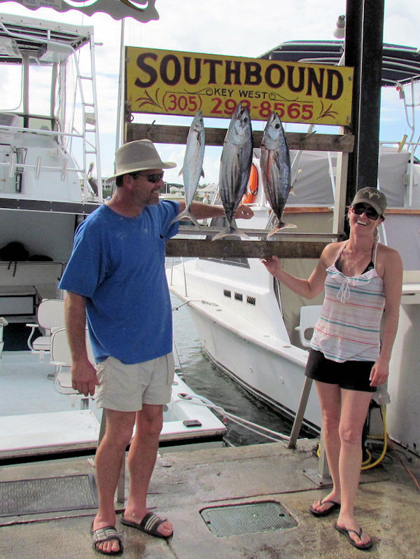 Skip Jack tuna caught fishing Key West on charter boat Southbound from Charter Boat Row Key West