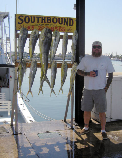 Dolphin caught in Key West fishing on Charter Boat Southbound from Charter Boat Row, Key West