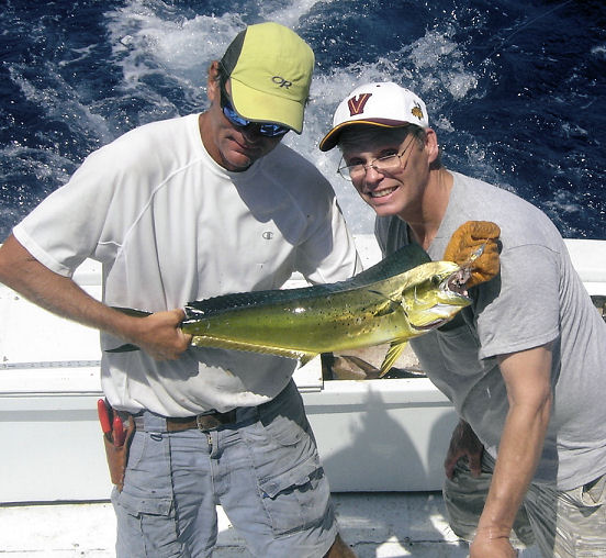 Small dolphin caught in Key West fishing on charter boat Southbound from Charter Boat Row Key West