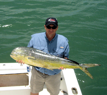 Dolphin caught fishing Key West on charter boat Southbound