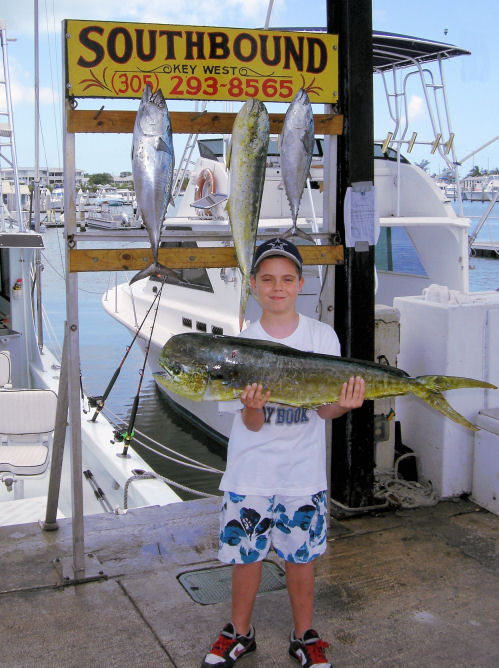 Dolphin caught fishing Key West on charter boat Southbound From Charter Boat Row Key West
