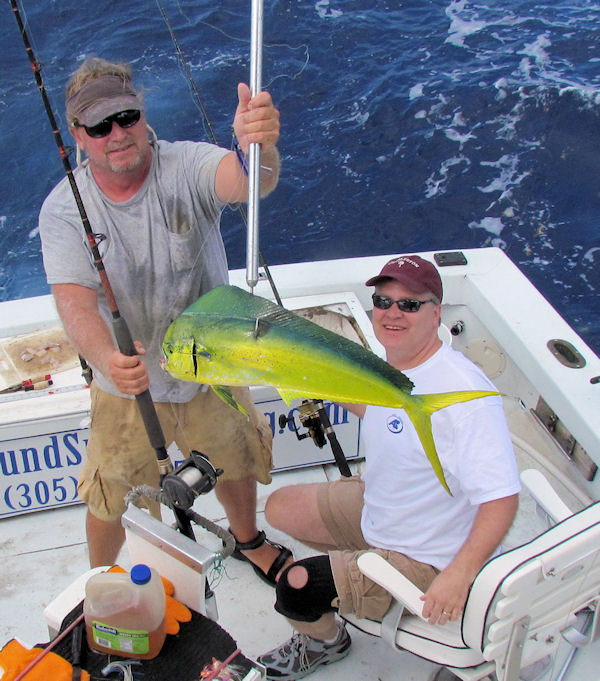 Dolphin caught in Key West fishing on charter boat Southbound from Charter Boat Row, Key West