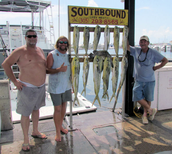 Dolphin caught fishing in Key West on charter boat Southbound from Charter Boat Row Key West