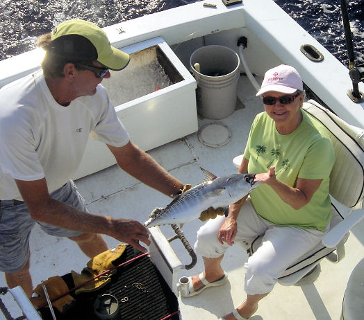 Bonito caught in Key West fishing on charter boat Southboud