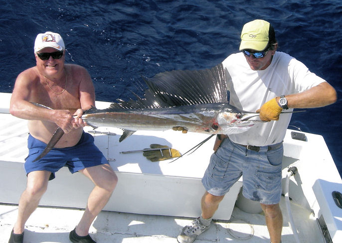 Sailfish caught and released in Key West fishing on charter boat Southboud