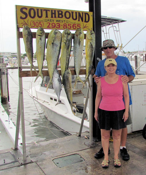 Nice dolphin caught in Key West fishing on charter boat Southbound