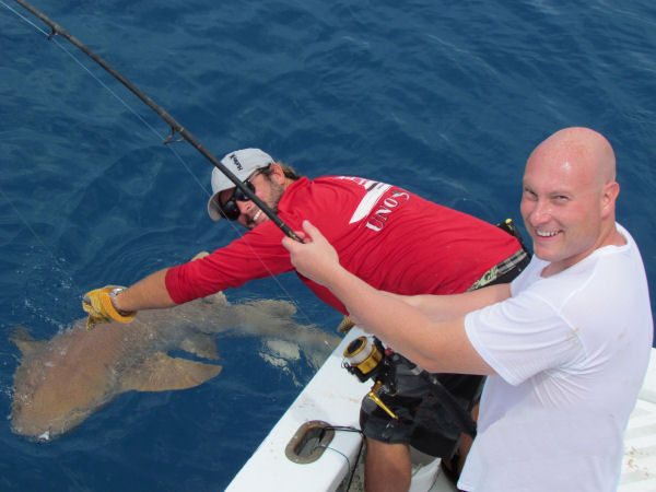 Shark caught in Key West fisihing on charter boat southbound in Key West