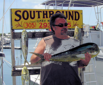 Dolphin caught fishing Key West charter boat Southbound