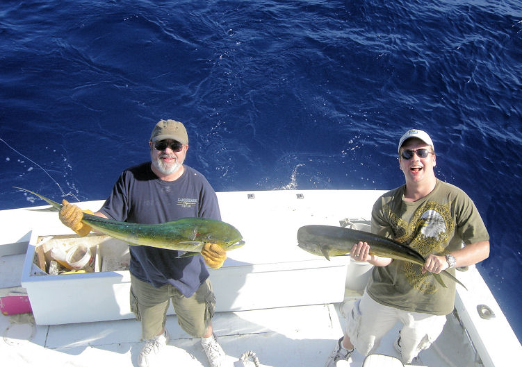 Dolphin caught in Key West fishing on charter boat Southbound from Charter Boat Row Key West