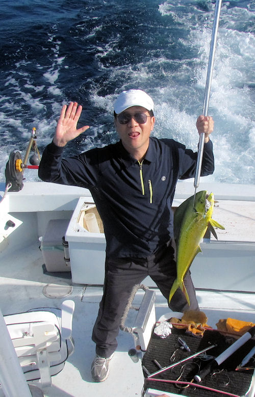 Dolphin caught fishing in Key West on Charter Boat Southbound from Charter Boat Row Key West