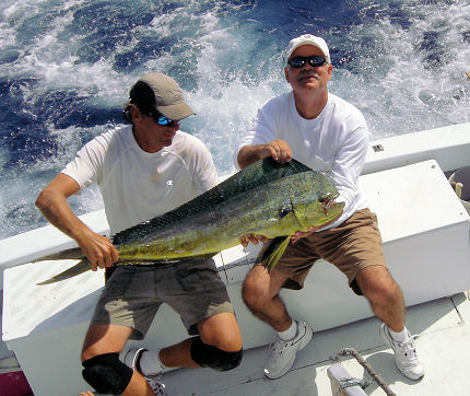 Dolphin caught fishing on Key West fishing boat Southbound from Charter Boat Row in Key West