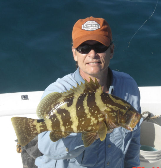 Nassua Grouper caught and released in Key West fishing on Key West charter boat Southbound from Charter Boat Row