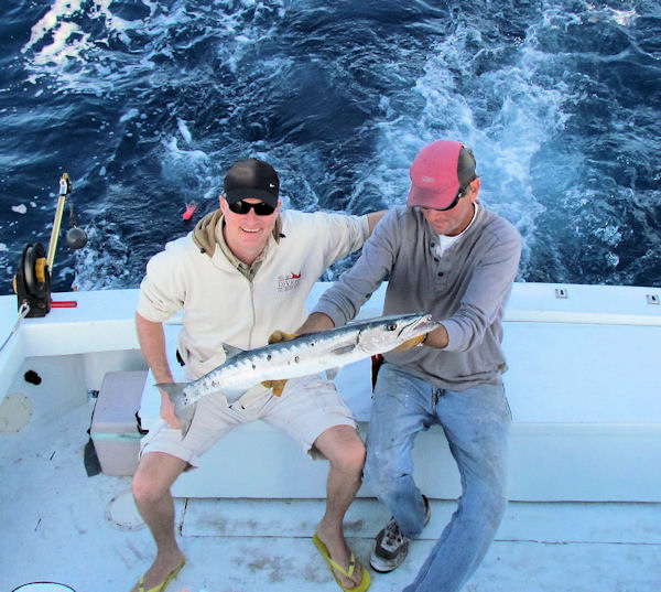 Barracudal caught fishing in Key West on Charter Boat Southbound from Charter Boat Row Key West