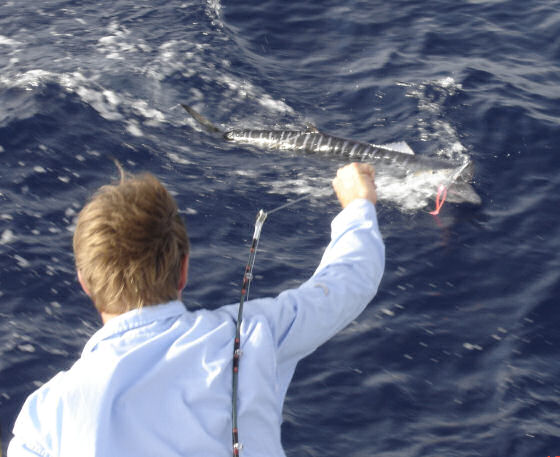 Pictures of Fish Caught aboard while Fishing Key West Charter Boat Southbound