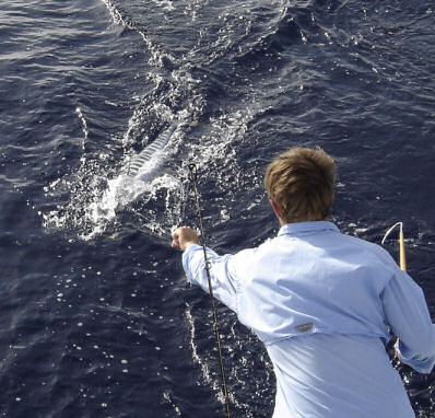 Pictures of Fish Caught aboard while Fishing Key West Charter Boat Southbound