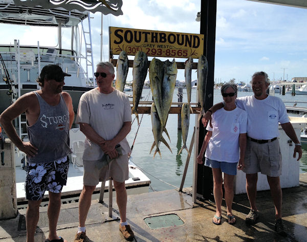 Dolphin caught in Key West fishing on charter boat Southbound from Charter Boat Row, Key West