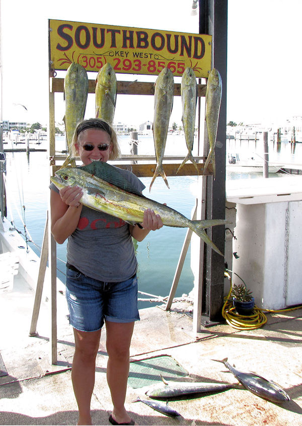 Dolphin caught in Key West fishing on Key West charter boat Southbound