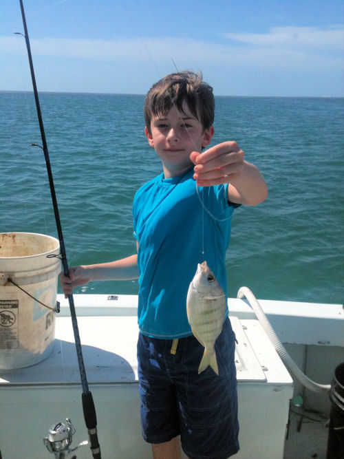 Pinfish caught in Key West fishing on Charter Boat Southbound